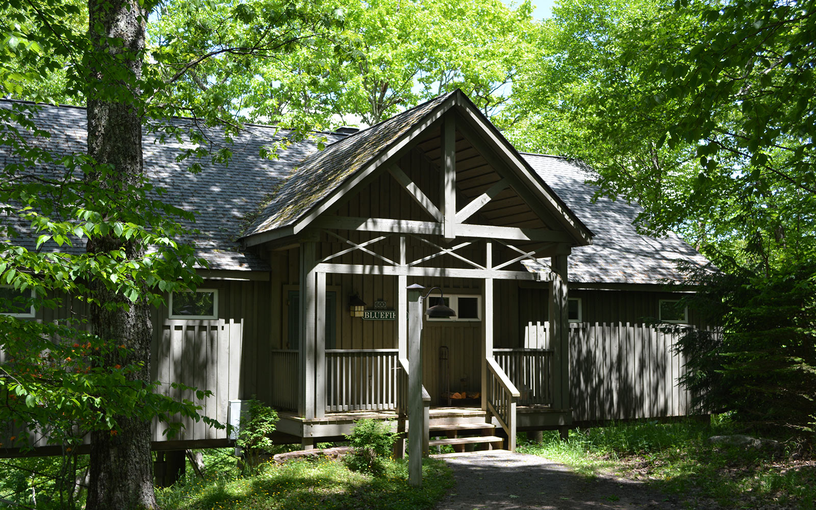Blueberry Ridge Mountain Homes at Mountain Lake Lodge, Virginia